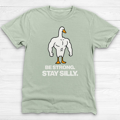 Be Strong Stay Silly, Silly Goose Gym Tee And Pump Cover