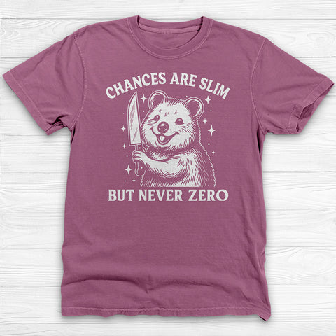 Chances Slim But Not Zero Fun Gym Shirt, Cute Pump Cover
