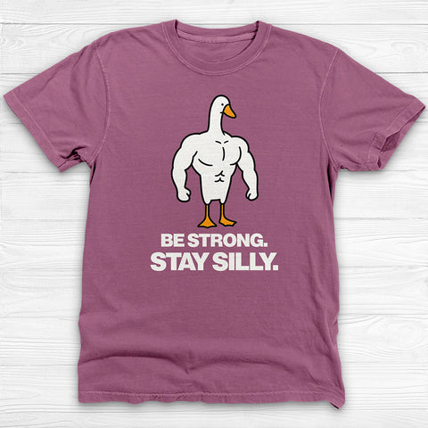 Be Strong Stay Silly, Silly Goose Gym Tee And Pump Cover