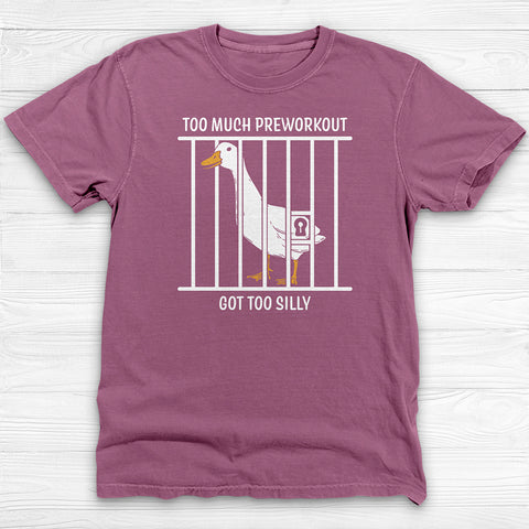 Silly Goose Funny Preworkout Gym Shirt And Pump Cover