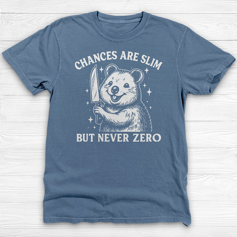 Chances Slim But Not Zero Fun Gym Shirt, Cute Pump Cover