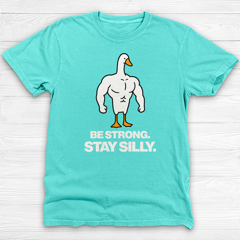 Be Strong Stay Silly, Silly Goose Gym Tee And Pump Cover