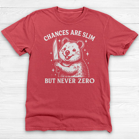 Chances Slim But Not Zero Fun Gym Shirt, Cute Pump Cover