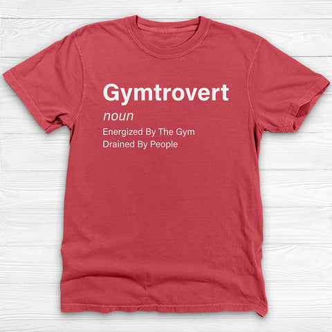 Gymtrovert Shirt, Introvert Workout Tee Or Pump Cover