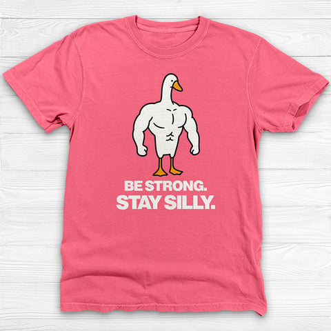 Be Strong Stay Silly, Silly Goose Gym Tee And Pump Cover