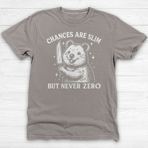 Chances Slim But Not Zero Fun Gym Shirt, Cute Pump Cover