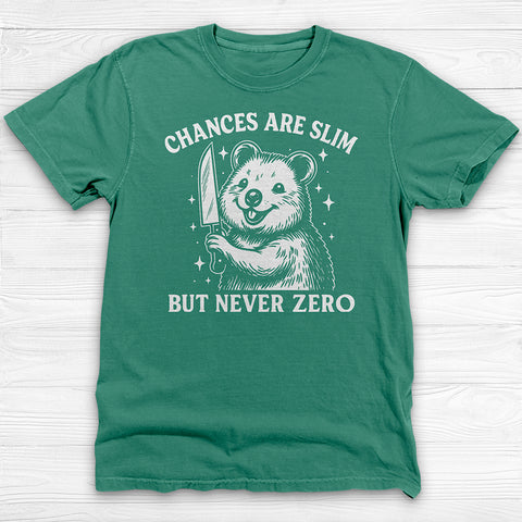 Chances Slim But Not Zero Fun Gym Shirt, Cute Pump Cover