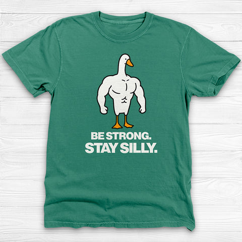 Be Strong Stay Silly, Silly Goose Gym Tee And Pump Cover