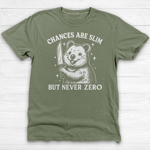 Chances Slim But Not Zero Fun Gym Shirt, Cute Pump Cover