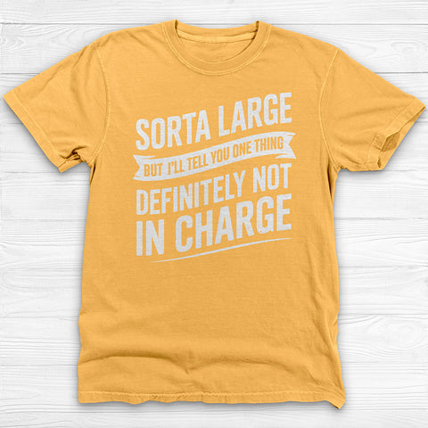 Sorta Large But Definitely Not In Charge, Fun Gym Tee