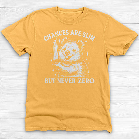 Chances Slim But Not Zero Fun Gym Shirt, Cute Pump Cover