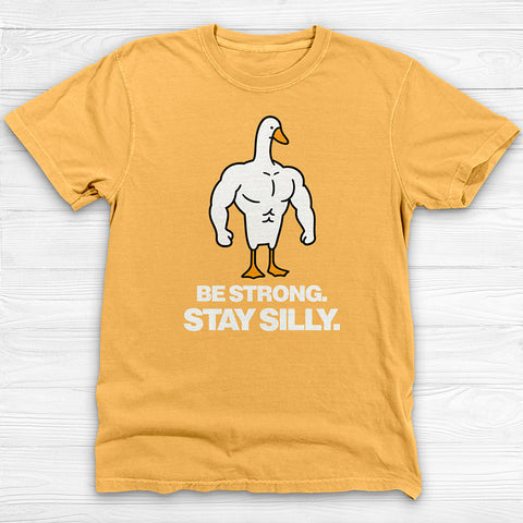 Be Strong Stay Silly, Silly Goose Gym Tee And Pump Cover