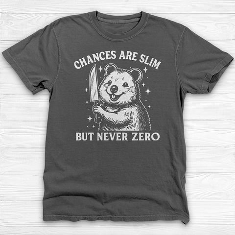 Chances Slim But Not Zero Fun Gym Shirt, Cute Pump Cover