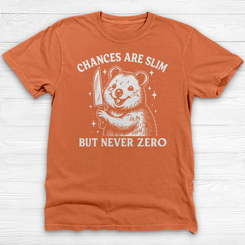 Chances Slim But Not Zero Fun Gym Shirt, Cute Pump Cover