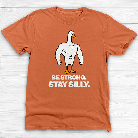 Be Strong Stay Silly, Silly Goose Gym Tee And Pump Cover