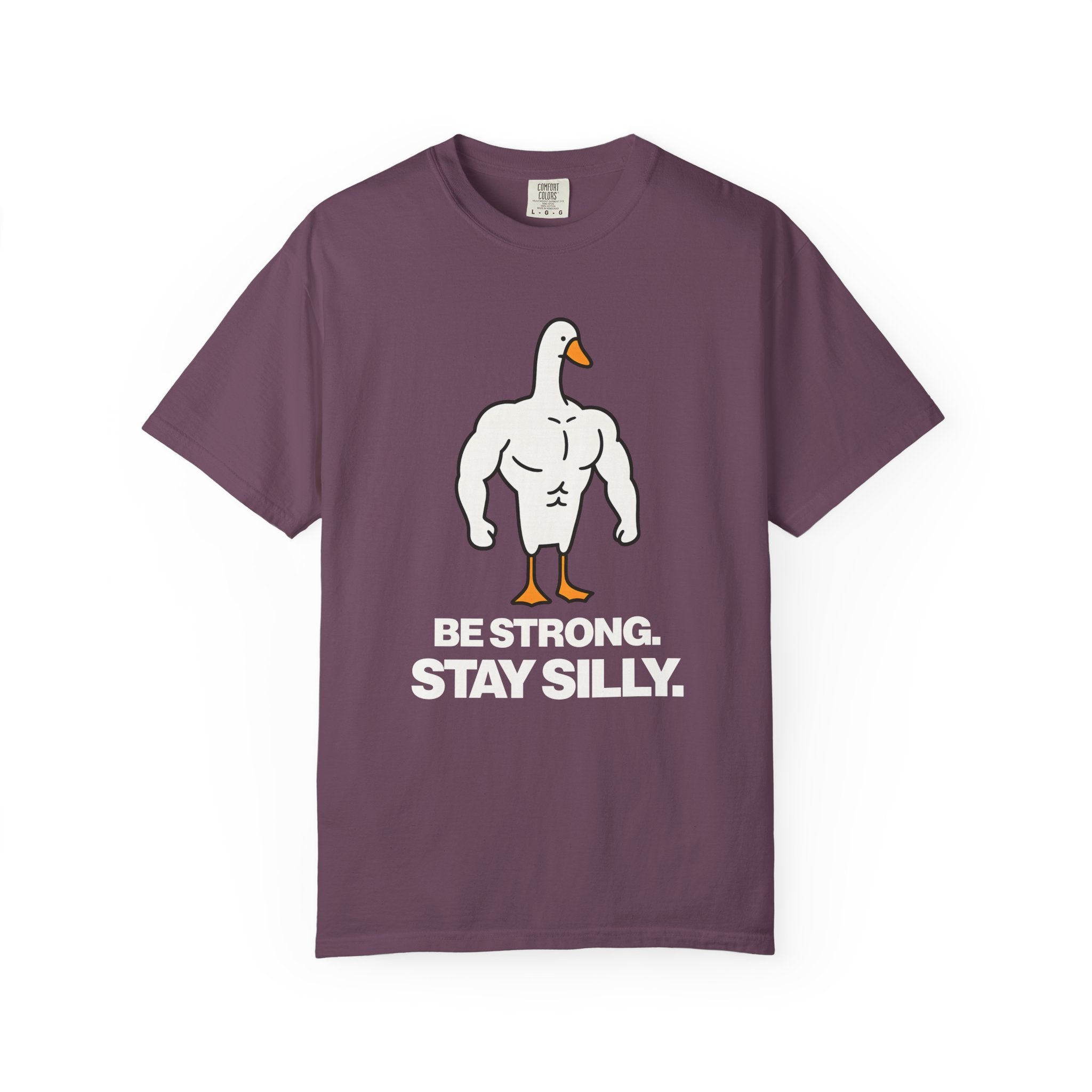 Be Strong Stay Silly, Silly Goose Gym Tee And Pump Cover-T-Shirt-Gym Classics