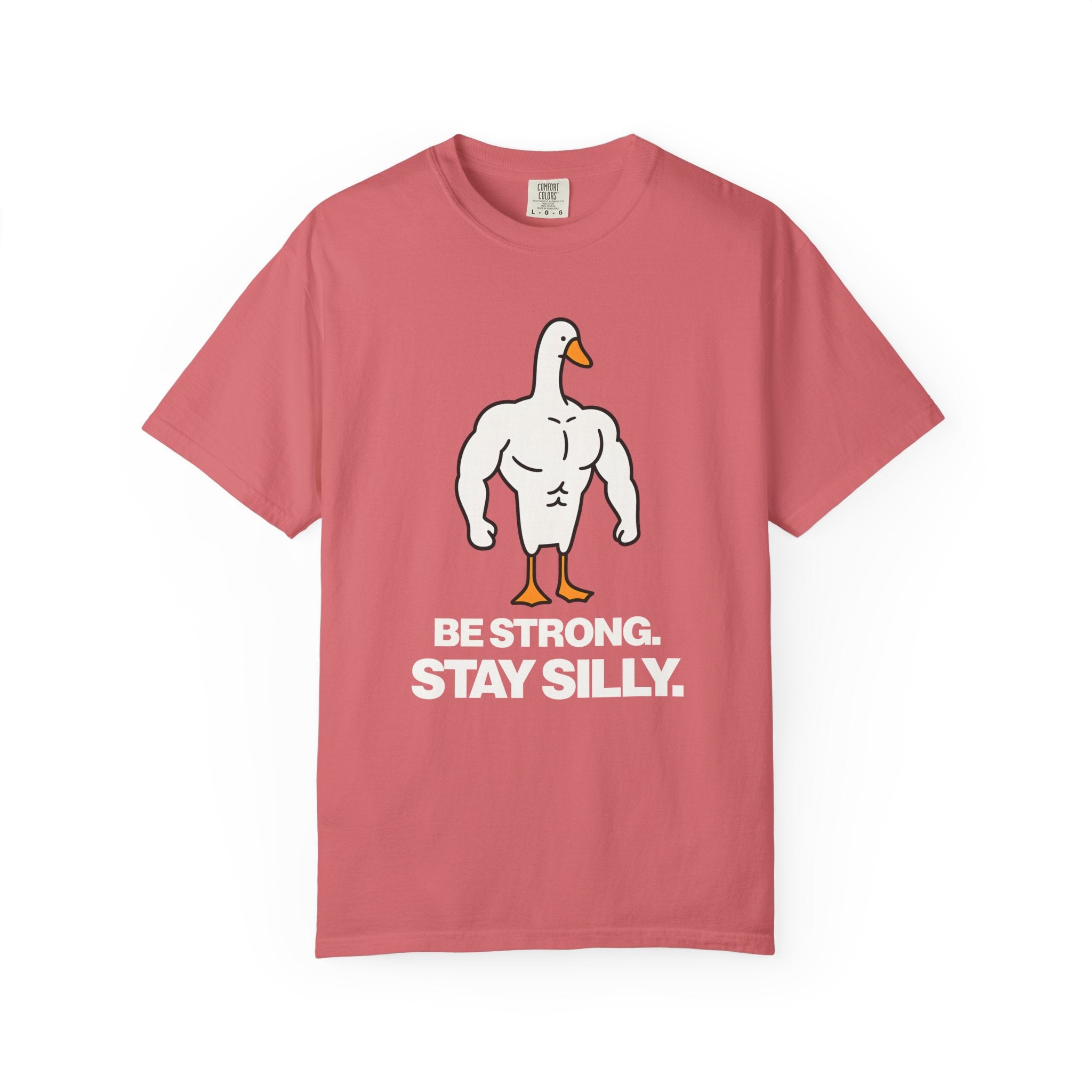 Be Strong Stay Silly, Silly Goose Gym Tee And Pump Cover-T-Shirt-Gym Classics
