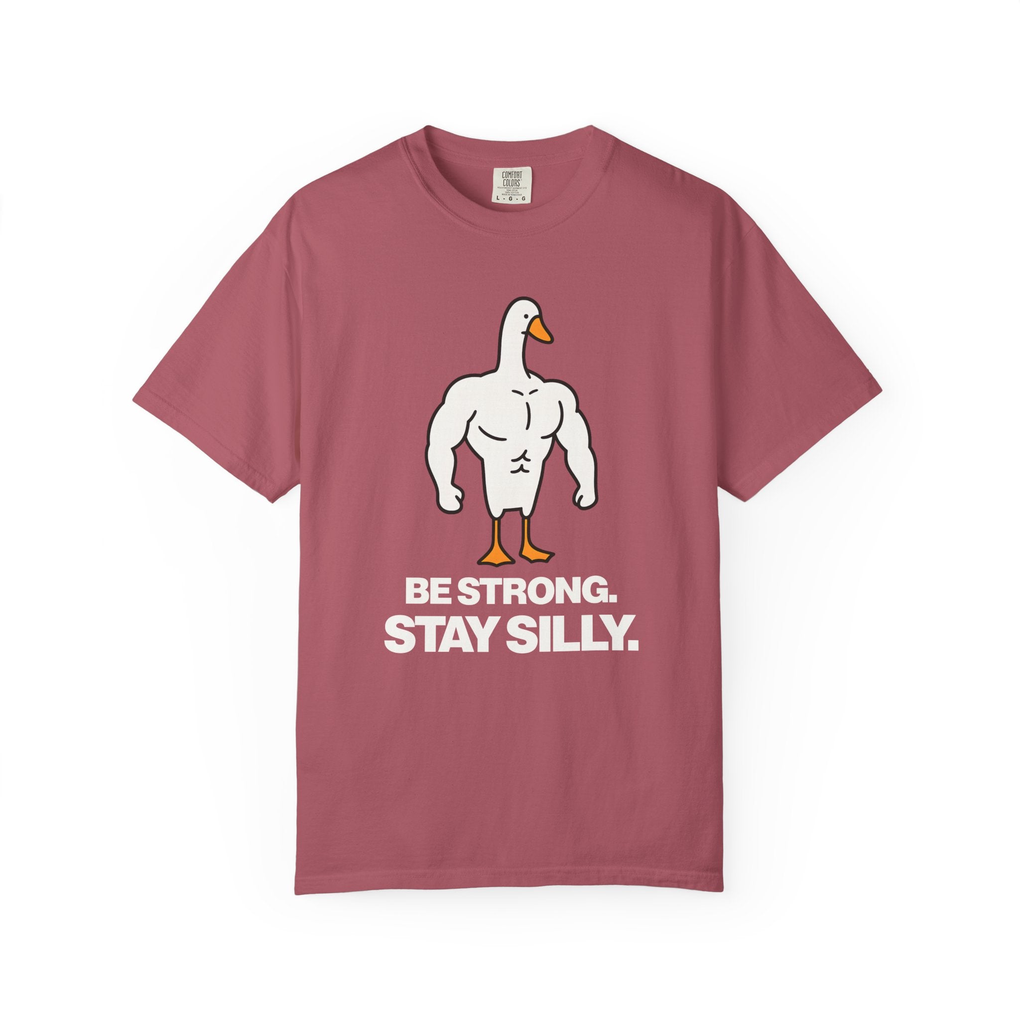 Be Strong Stay Silly, Silly Goose Gym Tee And Pump Cover-T-Shirt-Gym Classics