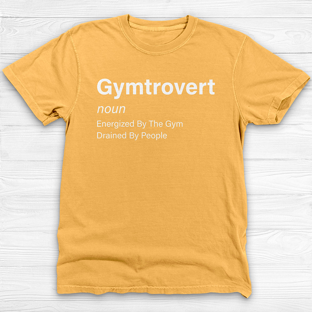 Gymtrovert Shirt, Introvert Workout Tee Or Pump Cover-T-Shirt-Gym Classics