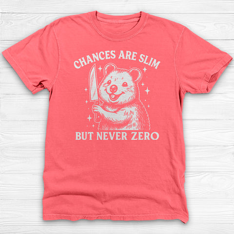 Chances Slim But Not Zero Fun Gym Shirt, Cute Pump Cover